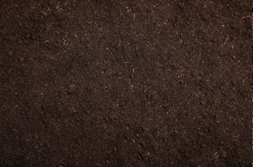 Topsoil